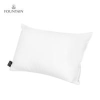 ราคา ห้องนอนและเครื่องนอน หมอนหนุนสุญญากาศ FOUNTAIN 70609 18x28 นิ้ว สีขาว (5395238200)