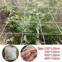 ราคา Scrog Net ขนาด 80x80 cm / 120x120 cm / 150x150 cm / 240x120 cm ตาข่ายปลูกต้นไม้เพื่อการเพิ่มผลผลิต (42510996781)