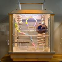 ราคา กรงนกแก้ว กรงนกเชิงนิเวศสำหรับสัตว์เลี้ยง กรงอะคริลิคใสสำหรับนกขุนทองและนกแก้วขนาดใหญ่พิเศษ (41657398270)