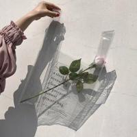 ราคา กระเป๋าถือถุงกระเป๋าใสๆเก๋ไม่ซ้ำไคร (1254676125)