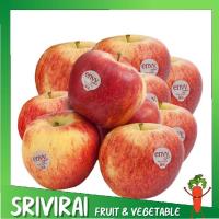 ราคา แอปเปิ้ล Envy แอปเปิ้ลเอนวี่ (size28)(USA) ราคาต่อลูก (8181294390)