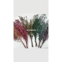 ราคา ดอกไม้แห้ง DIY ใบยูคาลิปตัส ใบแหลม preserved 5 กิ่ง 35 บาท (23969449107)