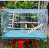 ราคา กรงนก กรงสัตว์เลี้ยง 60×40×40 (2775351308)