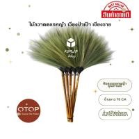 ราคา ไม้กวาดดอกหญ้า ด้ามไม้ คุณภาพดี สินค้าโอทอป อำเภอเวียงป่าเป้า จังหวัดเชียงราย (1ด้าม) (23345301907)