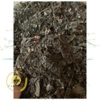 ราคา ดินใบก้ามปู ดินใบก้ามปูธรรมชาติ ดินปลูกต้นไม้ (25287253533)