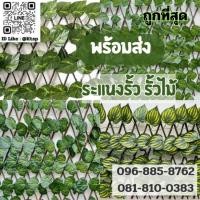 ราคา รั้วระแนงไม้สำเร็จรูปมาพร้อมใบเถาวัลย์เลื้อยยกเซต ยืดขยายได้ รั้ว รั้วไม้ รั้วระแนง ทำจากไม้แท้ (ถ่ายจากสินค้าจริง) (22628709959)
