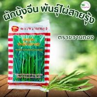 ราคา เมล็ดพันธุ์ผักบุ้ง 1 กิโลกรัม ผักบุ้งพันธุ์ใบไผ่สายรุ้ง ผักบุ้งตราขวาน ตราขวานทอง (27916223655)