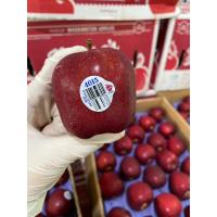 ราคา แอปเปิ้ลวอชิงตัน(ขนาด10 ลูก)หวาน กรอบ อร่อย (17797435315)