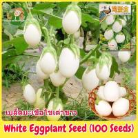 ราคา เมล็ดพันธุ์มะเขือไข่เต่า เมล็ดมะเขือไข่เต่า มะเขือไข่เต่าขาว 100 เมล็ด White Eggplant Seeds ผักออร์แกนิก เมล็ดพันธุ์ผัก (26584052776)