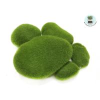 ราคา Moss หินมอสปลอม มอสเทียม หญ้าปลอม หญ้าเทียม อุปกรณ์จัดสวนจิ๋ว สวนถาด (27368552838)