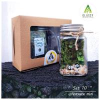 ราคา ชุดจัดสวนในขวดแก้ว ตั้งได้2แบบ ทั้งแนวตั้งและแนวนอน Terrarium Set 10. Mini Set ชุดจัดสวนขวด พร้อมส่ง (27951950001)