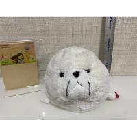 ราคา ตุ๊กตา Anee park ไซส์กลาง ของแท้ สภาพ97% (25366671237)