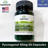 ราคา เปลือกสนฝรั่งเศสสกัด Pycnogenol 50 mg 50 Capsules - Swanson สารสกัดเปลือกสนมาริไทม์ (6889085708)