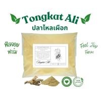 ราคา ปลาไหลเผือก ผงปลาไหลเผือก 100 กรัม Tongkat Ali 100 g (40965244287)