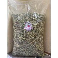 ราคา หญ้าทิโมธี ทิมโมธีสับ เกรดพรีเมี่ยม(ร่อนฝุ่น) ขนาด 1kg Timothy Hay Premium Quality 1kg (19318838203)