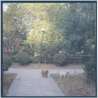 ราคา ม่านประตู ม่านหน้าต่าง ม่านประตู ม่านกันยุง ม่าน ตะข่ายติดหน้าต่าง มีกาวในตัว (27006590779)