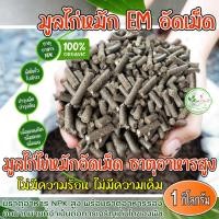 ราคา ขี้ไก่อัดเม็ดอย่างดี ขี้ไก่หมัก EM อัดเม็ด มูลไก่อัดเม็ด 1 กิโล จากมูลไก่ไข่แท้100% ธาตุอาหารสูง ปุ๋ยคอก ปุ๋ยอินทรี ปุ๋ย (21791636267)