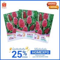 ราคา （เมล็ด）เมล็ดการสตอเบอรี่แดง 10เมล็ด/งอก/งอก ปลูก/งอก เมล็ด/งอก การ (22939390543)