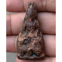ราคา พระเชตุพนพิมพ์ใหญ่เนื้อดิน จ.สุโขทัย ลงรักเก่าๆ สูงประมาณ 2 นิ้ว (13954084391)