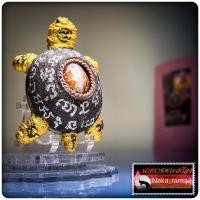 ราคา เบี้ยเเก้พญาเต่าเรือน พญาเต่าเพิ่มทรัพย์ หลวงพ่อเมียน กัลยาโณ วัดจะเนียงวนาราม จ.บุรีรัมย์ (27274844889)
