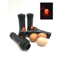 ราคา ไฟฉายสำหรับส่องไข่มีเชื้อ ไก่ เป็ด นก ทุกชนิด แบบชาต์แบท (8818989092)