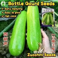 ราคา เมล็ดพันธุ์ ซูกินี ประมาณ (30 เมล็ด/ซอง) Zucchini Squash Seeds Bottle Gourd Vegetable Seeds เมล็ดซูกินี เมล็ดน้ำเต้า (24443776720)