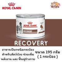 ราคา [1 กระป๋อง] Recovery Royal canin อาหารสัตว์ป่วย สำหรับหมาและแมว (23380727246)