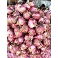 ราคา หอมแดงศรีสะเกษ ใหม่เงา 1 กิโลกรัม (23403013490)