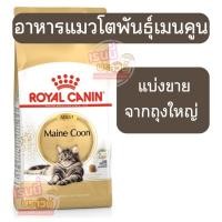 ราคา ส่งด่วนมาก⚡️[[แมวเมนคูน]] ((แบ่งขาย)) อาหารแมว Royal canin Maincoon แมวโตพันธุ์เมนคูน (41661512682)