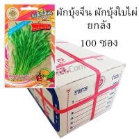 ราคา เมล็ดผักบุ้งจีน พันธุ์ผักบุ้งใบไผ่ (รหัส A5678) (26868565529)