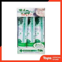 ราคา DENTISTE เดนทิสเต้ยาสีฟันพลัสไวท์หลอดบีบ 160กรัม แพค 3 [9300807527856] (21652685006)