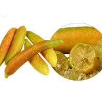 ราคา ต้นมะนาวนิ้วมือ มะนาวคาเวียร์ Finger lime พันธุ์ SUNSHINE YELLOW ลำต้นสูง 30 ซม (7392612706)