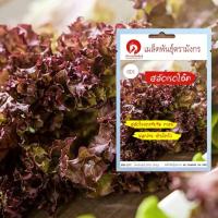 ราคา เมล็ดพันธุ์ผักสลัดเรดโอ๊ค - Red Oak (เมล็ดพันธุ์คุณภาพดี) (4740362748)