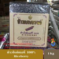 ราคา Riceberry RICE ข้าวเบญจรงค์ ข้าวไรซ์เบอรี่ เกรด A ข้าวไรซ์เบอร์รี่ ปลอดสารพิษ คุณภาพพิเศษ แพ็คสุญญากาศ ขนาด 1 Kg. (10907028439)