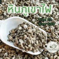 ราคา หินภูเขาไฟ สำหรับปลูกต้นไม้ (23615090305)