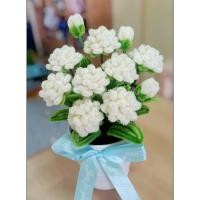 ราคา กระถางดอกมะลิลวดกำมะหยี่ จัดส่ง 1-3วัน ดอกมะลิวันแม่ (43755330638)