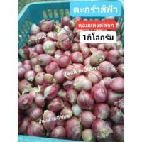 ราคา หอมแดงศรีสะเกษ ตัดจุกแล้ว 1 กิโลกรัม ตะกร้าสีฟ้า #หอมแดงศรีสะเกษ #หอมแดง (7224421074)