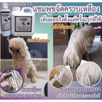 ราคา อุปกรณ์จัดส่งที่รวดเร็ว✵∋✁‼️ขนขาวขึ้นทันที‼️แชมพูสุนัขแมวขนขาว Pethera Super white สูตรพิเศษสำหรับสุนัขขนขาว หรือไว้ขจัด (13027884332)