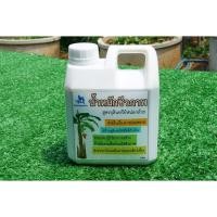 ราคา จุลินทรีย์หน่อกล้วยออร์แกนิค ปรับปรุงคุณภาพน้ำ กำจัดโรคและแมลงศัตรูพืชของพร้อมส่ง (9940219281)