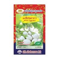 ราคา เมล็ดมะเขือไข่เต่าขาว White Eggplant MT/OP-115 ตราภูเขาทอง เมล็ดพันธุ์ผักสวนครัว เมล็ดมะเขือไข่เต่า (22281314776)