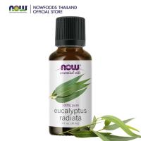 ราคา Now Essential Oils Eucalyptus Radiata 100% Pure 30 ml. น้ำมันหอมระเหย กลิ่นยูคาลิปตัส (7059366993)