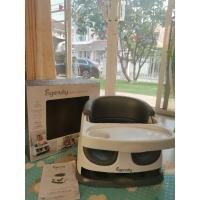 ราคา เก้าอี้เด็กIngenuityสีเทา (9525336570)