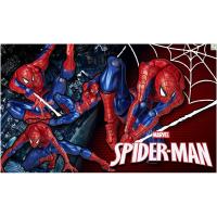 ราคา REVOLTECH : MOVIE REVO / AMAZING YAMAGUCHI Series 002 : SPIDER-MAN (295533473)