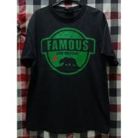 ราคา เสื้อแบรนด์สเก็ต FAMOUS มือสองสภาพดีระบุไซส์ L (40668880996)