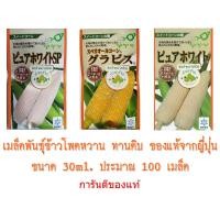 ราคา (100เมล็ด) เมล็ดพันธุ์ ข้าวโพด เพียวไวท์ กราวิส ข้าวโพดฮอกไกโด ข้าวโพดนมสด ข้าวโพดญี่ปุ่น Pure White ข้าวโพดกินดิบ หวาน (1568506568)
