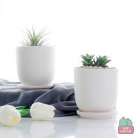 ราคา กระถางเซรามิก ดินเผา ทรงโมเดิร์นพร้อมจานรอง สีธรรมชาติ 3.5 นิ้ว เซรามิค ล๊อตนี้สีขาวออกครีมนะคะ กระถางต้นไม้ (10207091449)
