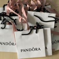 ราคา ถุงกระดาษ Pandora ของแท้จากชอป (3904609172)