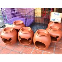 ราคา โอ่งดินเผาสำหรับสัตว์เลี้ยง โอ่งแมว (6425792244)