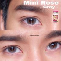 ราคา Mini Rose Grayสายตาปกติ,-4.25(kitty kawaii) (2323191479)