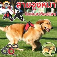 ราคา สายจูงสุนัข สายรัดอกสุนัข สายรัดอกสัตว์เลี้ยง สายจูงสุนัขพันธุ์กลาง-ใหญ่ มีแถบสะท้อนแสง (26041274299)